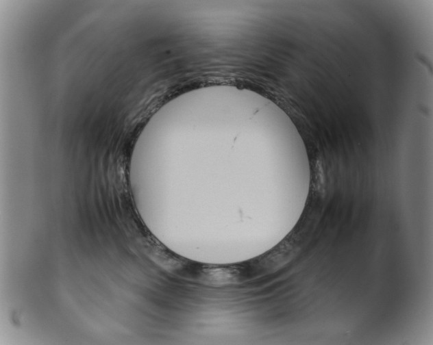 X0000101660522200807101028