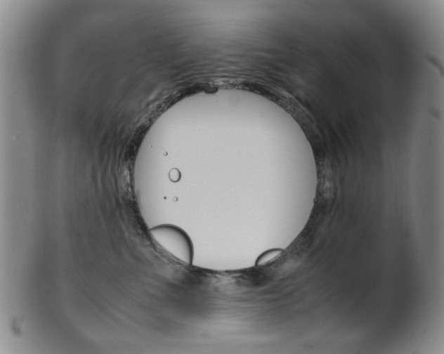 X0000101660523200807101028