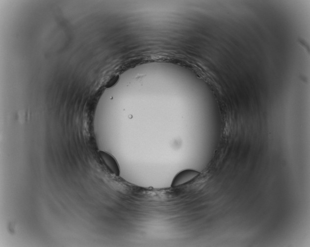 X0000101660524200807101028