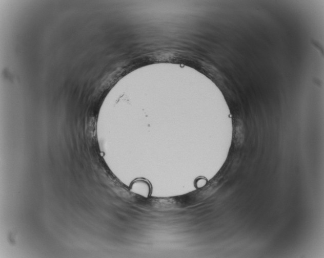 X0000101660525200807101028