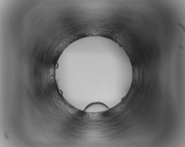 X0000101660526200807101028