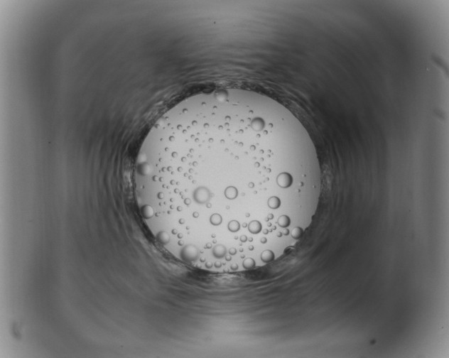 X0000101660527200807101028