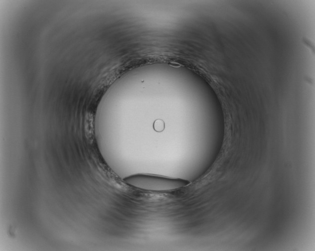 X0000101660528200807101028