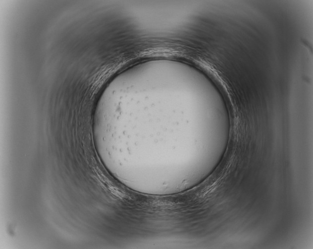 X0000101660529200807101027