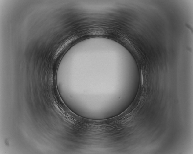 X0000101660531200807101027