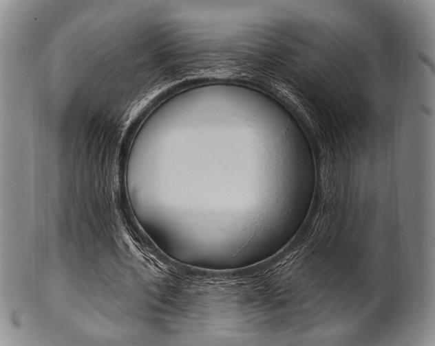 X0000101660532200807101027