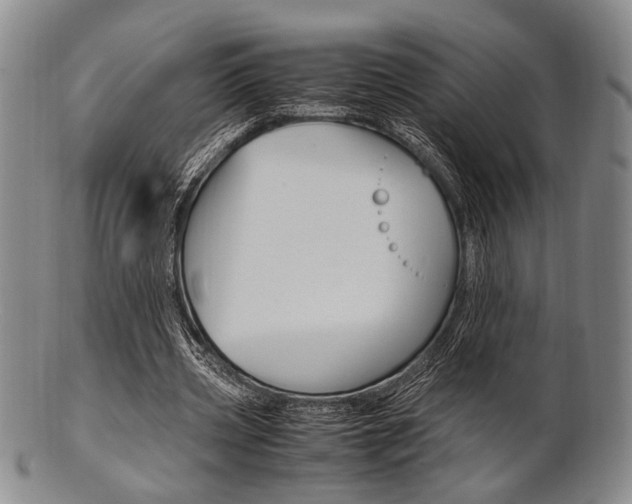 X0000101660533200807101027