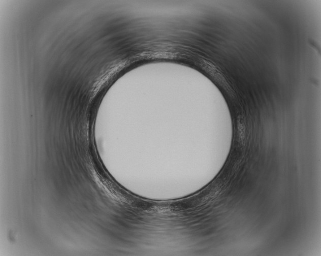 X0000101660534200807101027