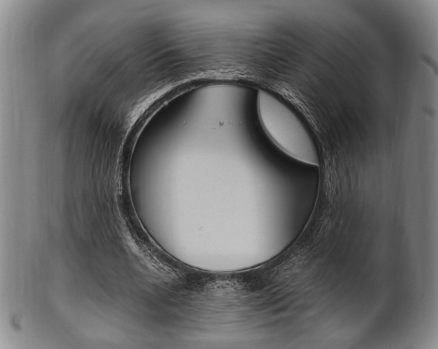 X0000101660536200807101027