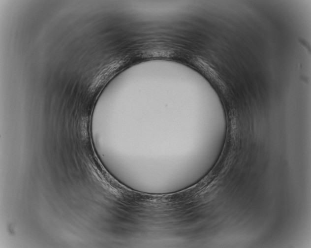X0000101660537200807101027