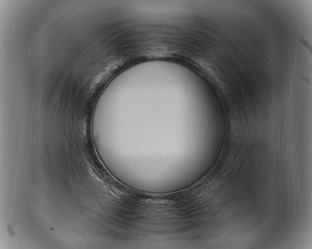 X0000101660539200807101027