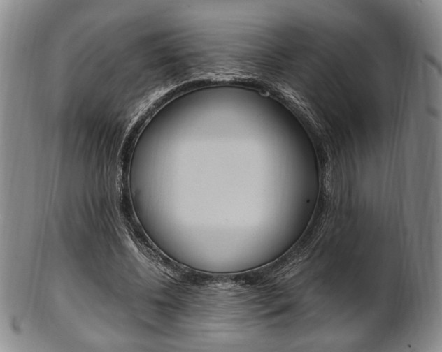 X0000101660540200807101027