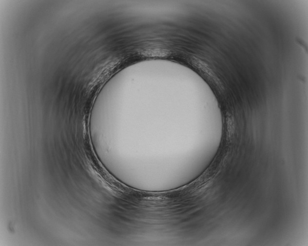X0000101660541200807101027
