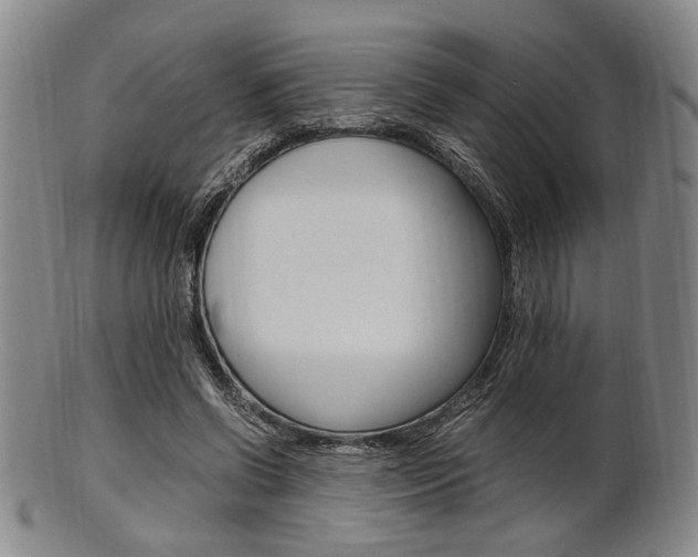 X0000101660542200807101027