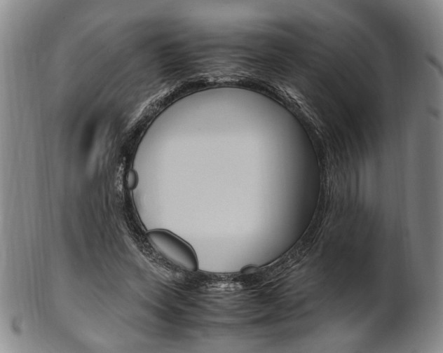 X0000101660543200807101027