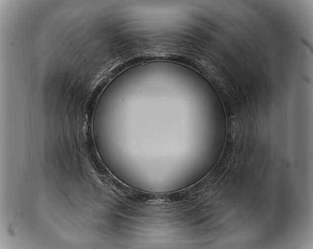 X0000101660544200807101027