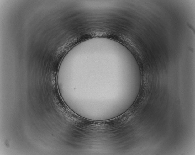 X0000101660545200807101027