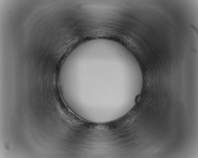 X0000101660546200807101027