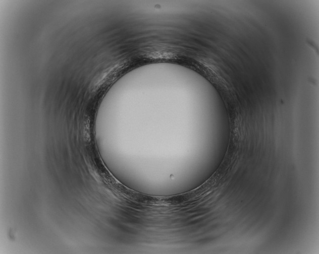 X0000101660547200807101027
