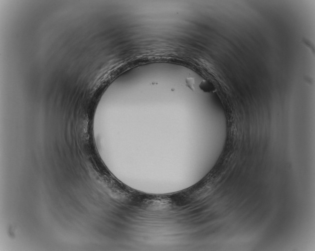 X0000101660548200807101027