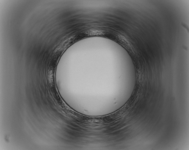 X0000101660549200807101027