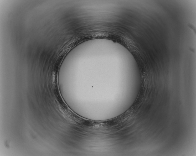 X0000101660550200807101027