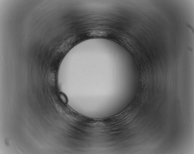 X0000101660551200807101027