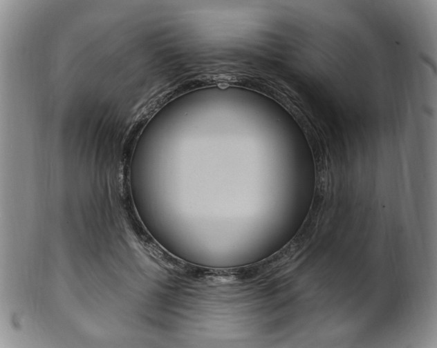 X0000101660552200807101027