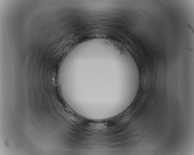 X0000101660553200807101027