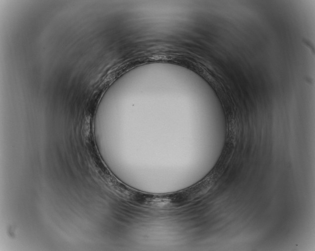 X0000101660554200807101027