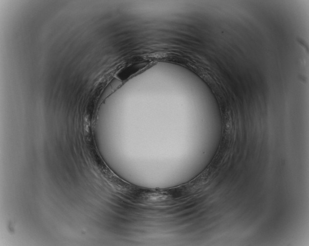 X0000101660555200807101027