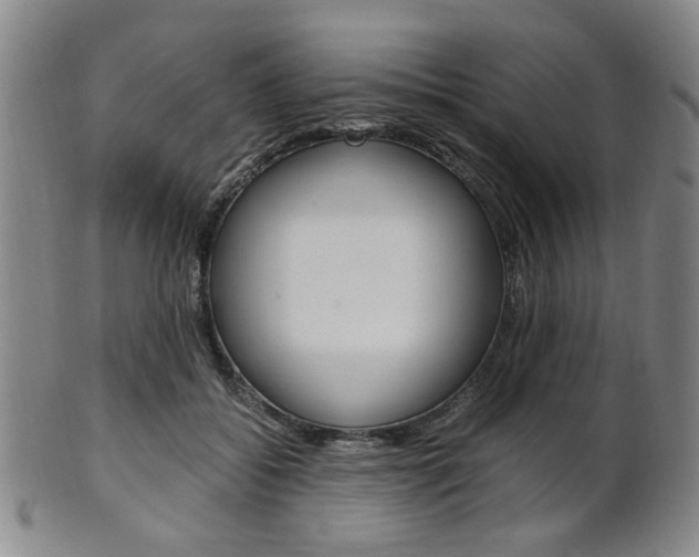 X0000101660556200807101027