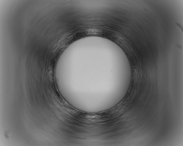 X0000101660557200807101027