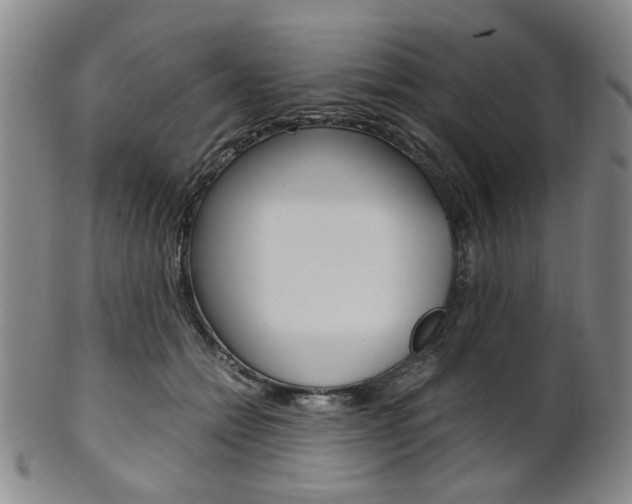 X0000101660558200807101027