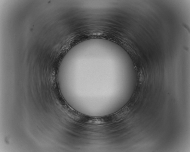X0000101660559200807101027