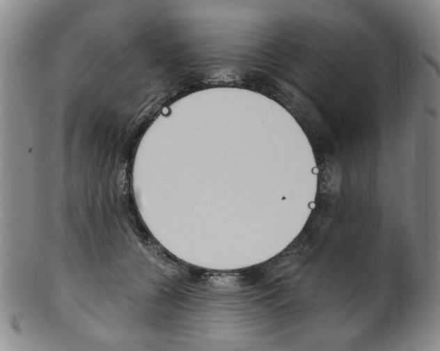 X0000101660560200807101027