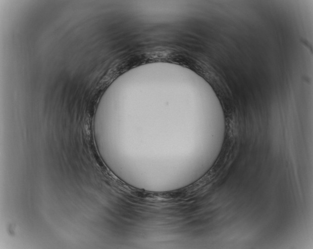 X0000101660561200807101027