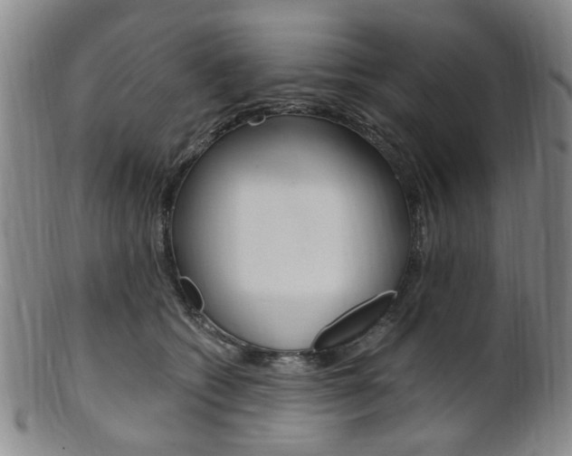 X0000101660562200807101027