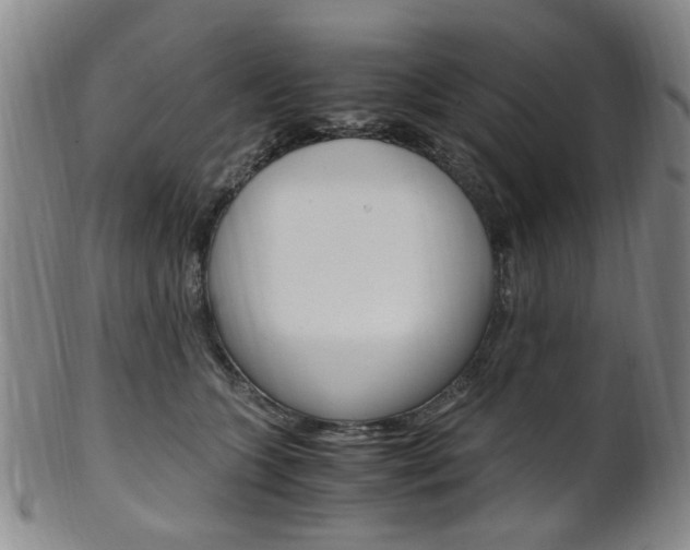 X0000101660563200807101027