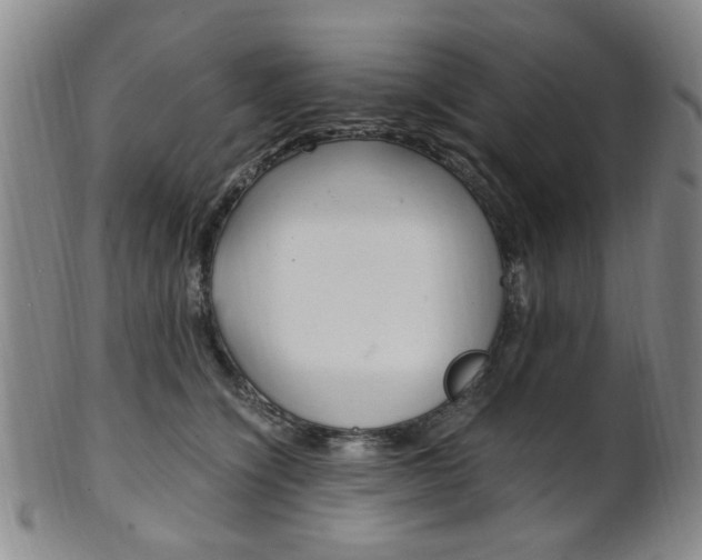 X0000101660564200807101027