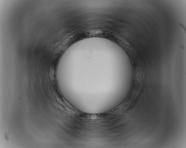X0000101660565200807101028