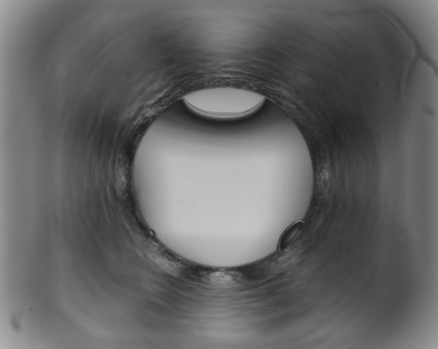 X0000101660566200807101028