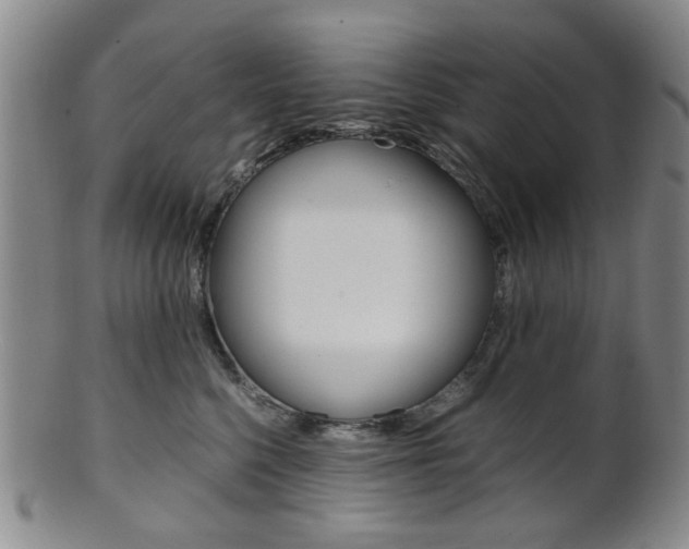 X0000101660568200807101028