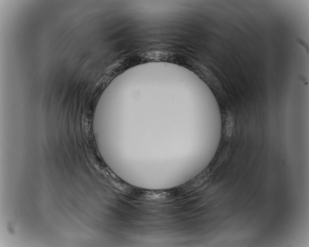 X0000101660569200807101028