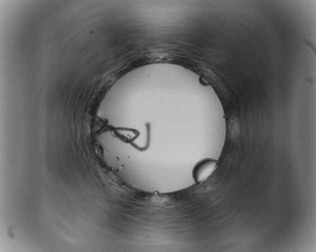X0000101660570200807101028