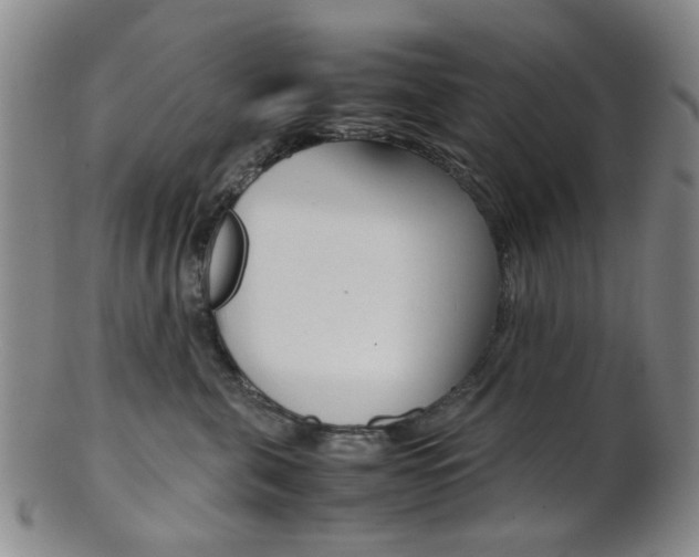 X0000101660571200807101028