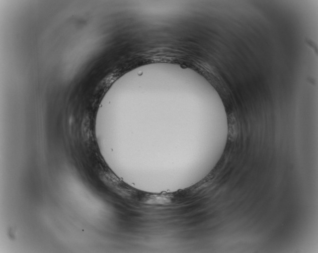 X0000101660573200807101028