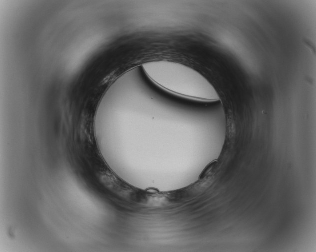 X0000101660574200807101028
