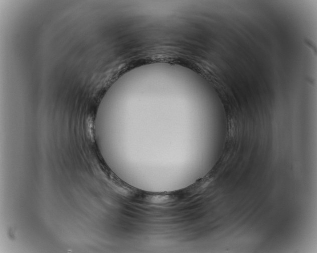 X0000101660575200807101028