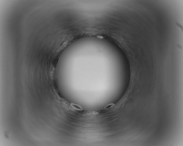 X0000101660576200807101028